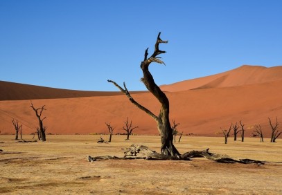 Classic Namibia Safari