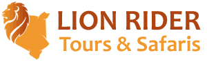 Lion Rider Safaris