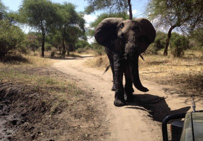 3-Day Tanzania Crater & Lake Safari