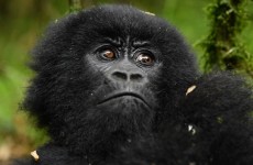 30-Day Epic East African Adventure