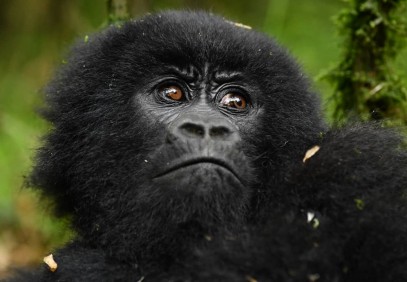 30-Day Epic East African Adventure