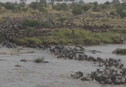 Photographic River Crossing Safari