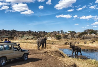 1-Day Elephant’s Paradise Tarangire