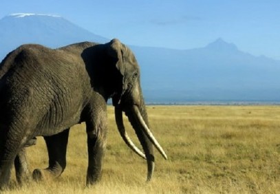 6-Day Kenyan Camping Safari