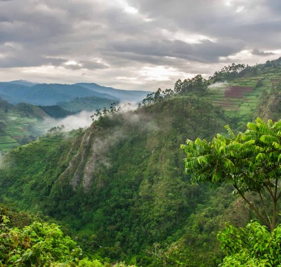 Bwindi Impenetrable National Park