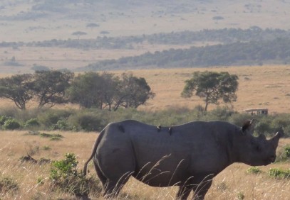 12-Day Classic Kenya Safari