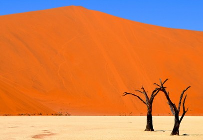 7-Day Namibia Fly-In Luxury Safari