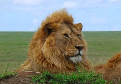 3-Day Selous Adventure (Nyerere National Park)