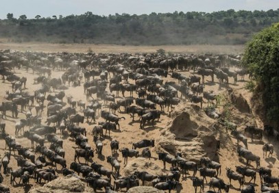 7-Day Serengeti Migration Safari