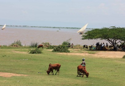 9-Day Masai Mara & Lake Victoria