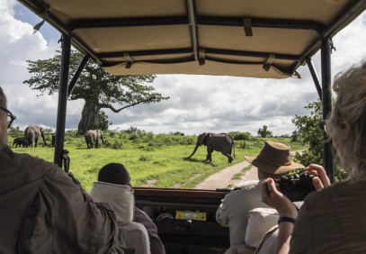 Best of Tanzania Safari