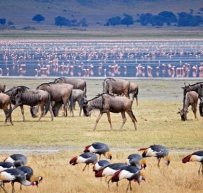 Lake Manyara National Park