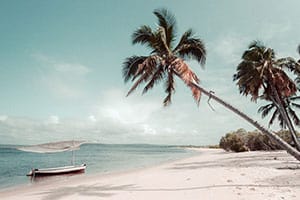Beach Safari