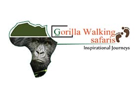 Gorilla Walking Safaris