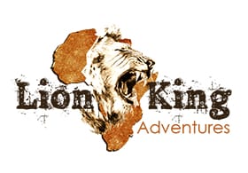 Lion King Adventures