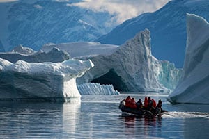 Polar Safari