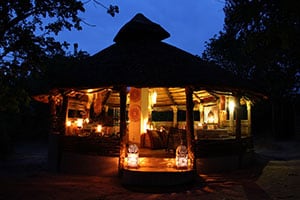 Romantic Safari
