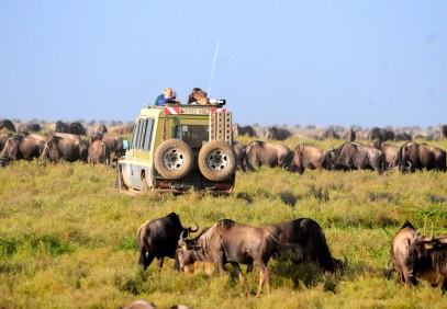 5-Day Tanzania Safari Experience