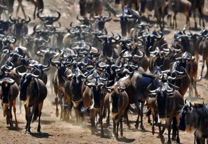 4-Day Tarangire, Serengeti & Ngorongoro Lodge Safari