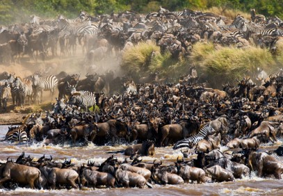 7-Day Serengeti Great Migration Safari
