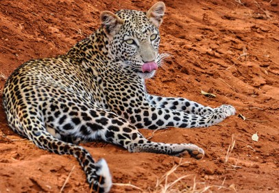 3-Day Kenyan Wildlife Safari