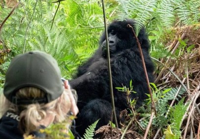5-Day Chimpanzee and Gorilla Tracking Safari