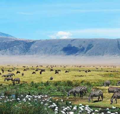 Ngorongoro Conservation Area