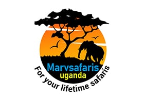 Marv Safaris Uganda