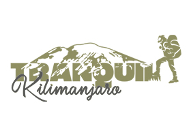 Tranquil Kilimanjaro