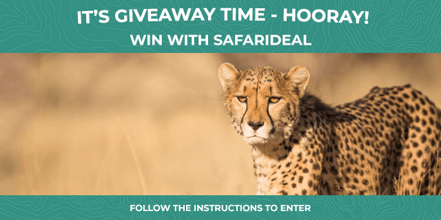Safarideal Giveaway Contest 02