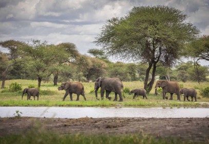 4-Day Tanzania Wildlife Safari