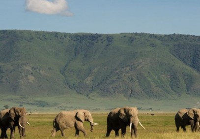 3 Days Serengeti & Ngorongoro Crater Private Safari
