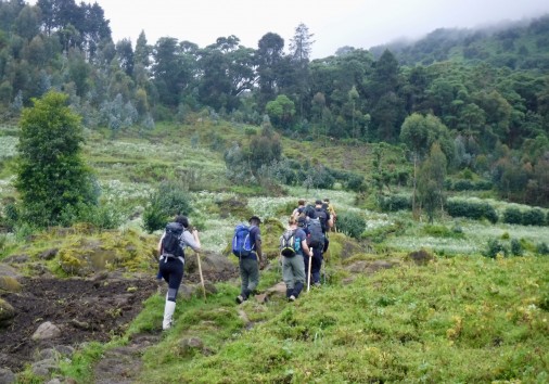 Kj 0012 Hill Walking.jpg