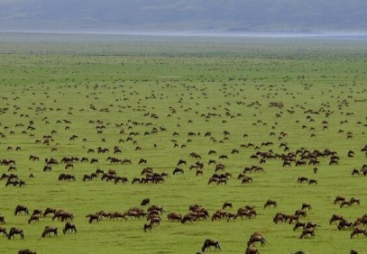12-Day Kenya & Tanzania Budget Safari