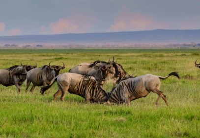 4 Days Tarangire, Serengeti & Ngorongoro Crater