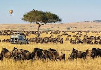 3-Day Masai Mara Safari & Wildebeest Migration