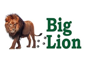 Big Lion Safaris