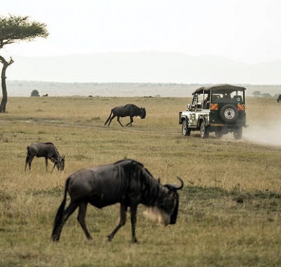 Maasai Mara National Reserve