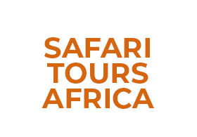 Safari Tours Africa