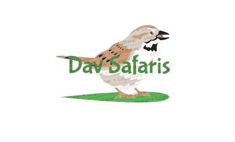 Dav Safaris