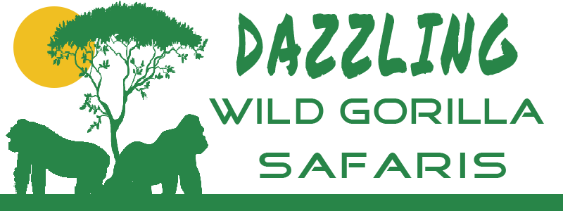 Dazzling Wild Gorilla Safaris
