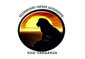 Kilimanjaro Safari Experience
