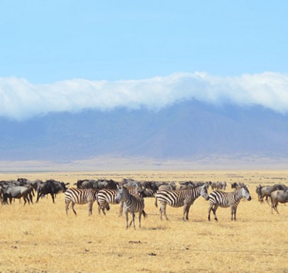 Serengeti National Park