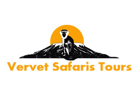Vervet Safari and Tours