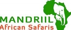 Mandrill African Safari