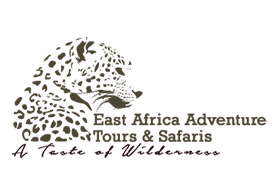 East Africa Adventure Tours and Safaris