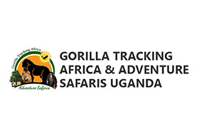 Gorilla Tracking Africa & Adventure Safaris Uganda