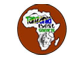 Tanzania Best Safaris