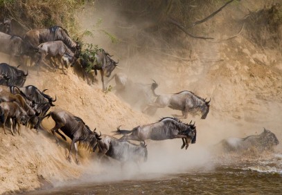 8-Day Explore The Wild Safari Tanzania