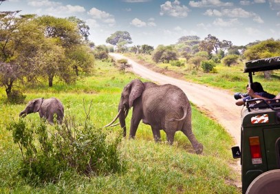 6-Day Northern Circuit Safari
